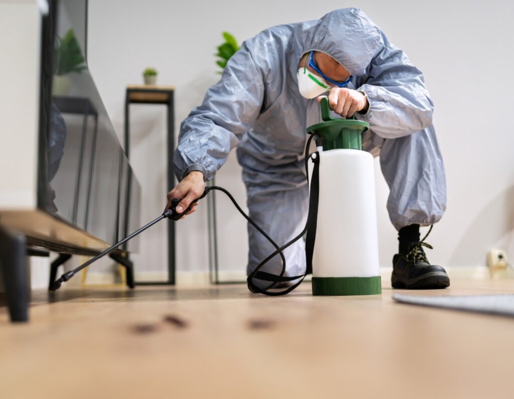 Termite Services Safeguard your property from termite infestations with our effective pest control treatments.