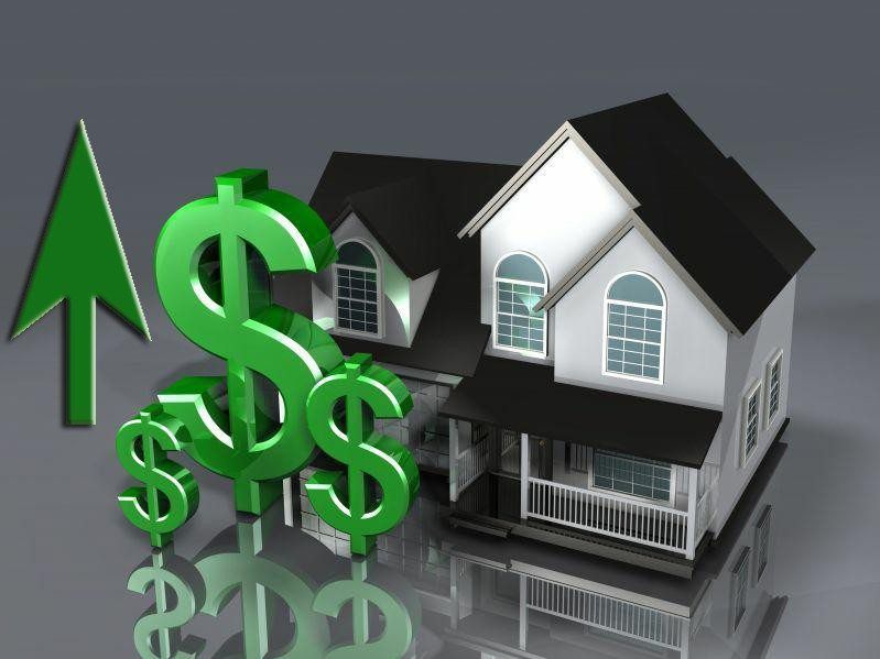 Termite prevention increases property value in Pakistan – Phoenix Chemicals